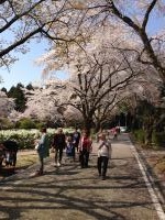 お出かけ